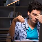 Заказать написания эссе. Виды поисковых систем в России